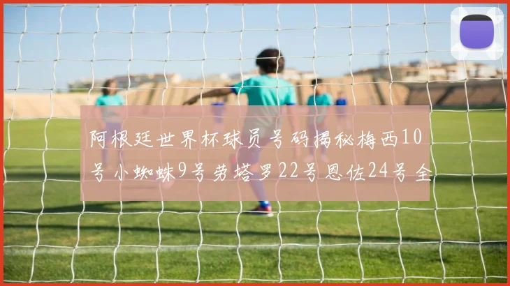 阿根廷世界杯球员号码揭秘梅西10号小蜘蛛9号劳塔罗22号恩佐24号全解析