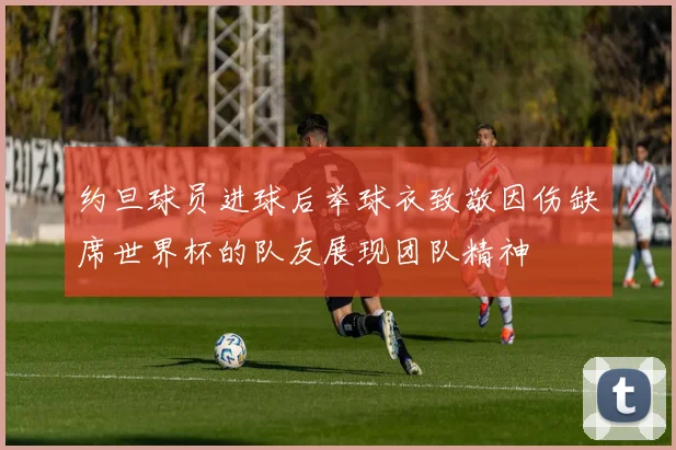 约旦球员进球后举球衣致敬因伤缺席世界杯的队友展现团队精神